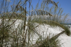 DSCN0229.JPG1